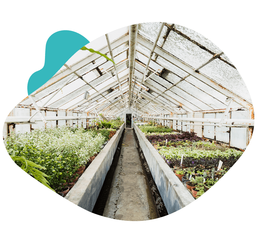 گلخانه سرپوشیده هوشمند